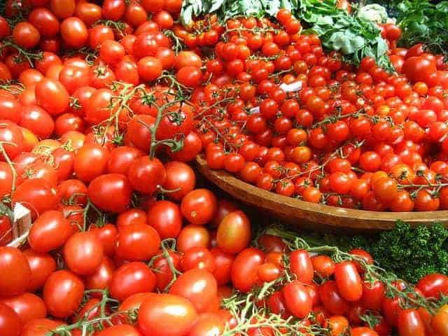 mnóstwo pomidorów na misach