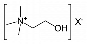 cholina związek chemiczny