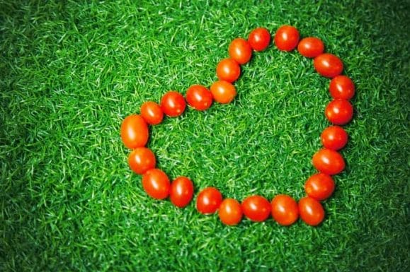 pomidory ułożone w serce na trawie