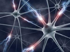 neurony