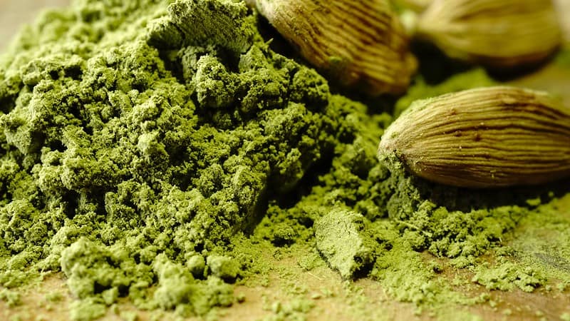sproszkowana herbata matcha