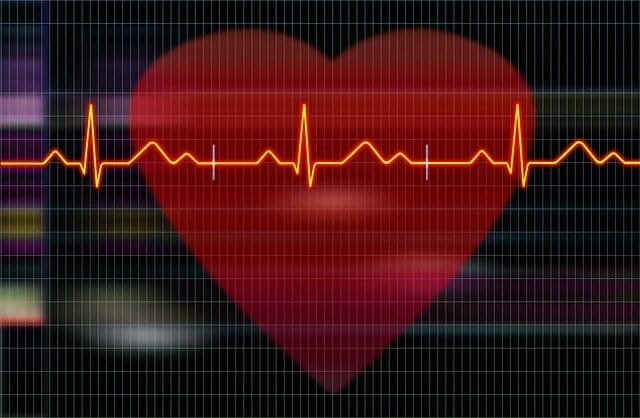 grafika przedstawiająca serce i zapis elektrokardiografu