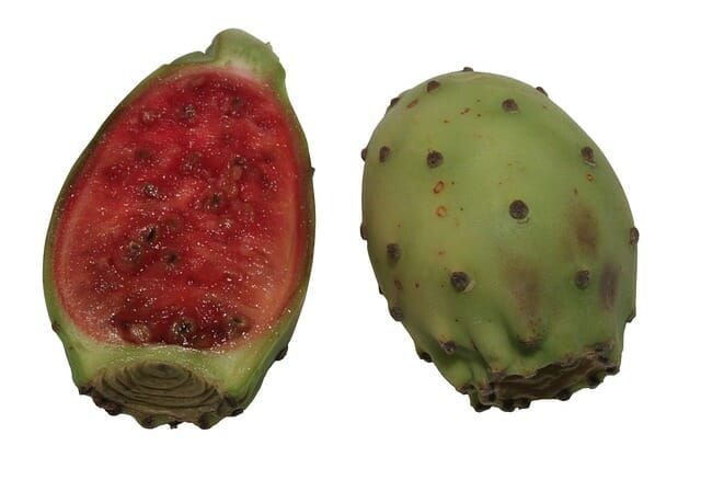 owoc opuncji figowej przekrojony na pół
