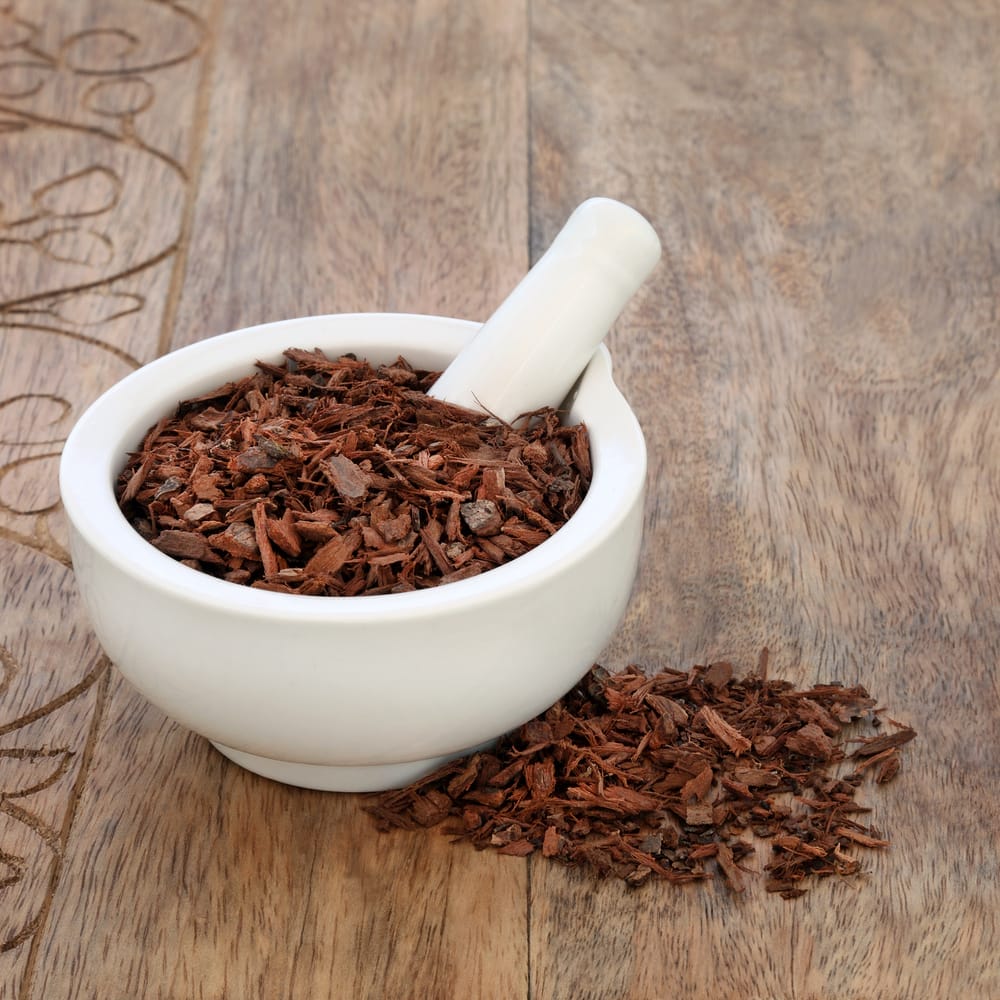 suszona kora śliwy afrykańskej (Pygeum africanum)